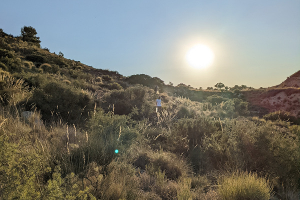 Voluntario en un paisaje semiárido mediterráneo