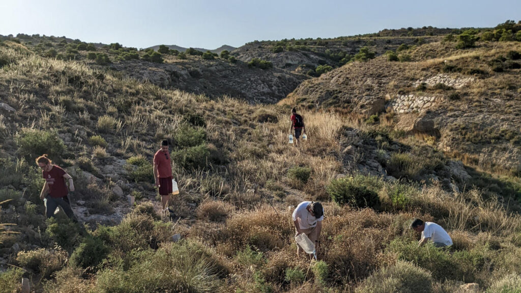 Voluntarios ARBA en acción