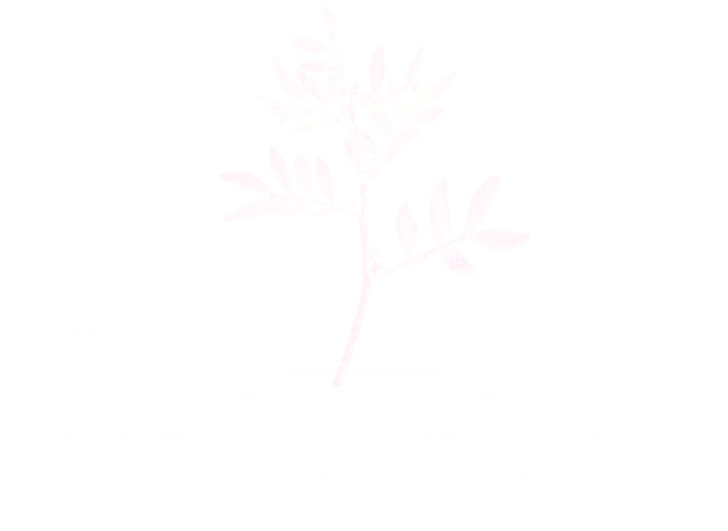Logo blanco sin fondo