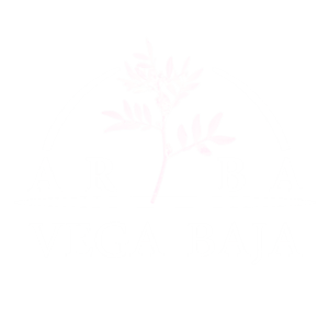 Logo blanco sin fondo - cuadrado