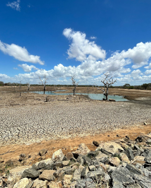 Paisaje con sequía